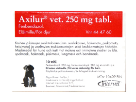 Kuva AXILUR 250 mg 10 vet tablettia