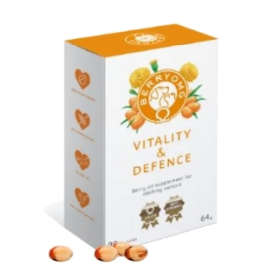 Kuva BERRYOMG Vitality & Defence 90 kaps