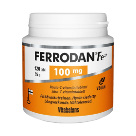 Kuva Ferrodan Fe2+ 100 mg 120 tabl. 