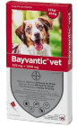 Bayvantic vet 4 x 2.5 ml paikallisvaleluliuos