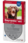Bayvantic vet 4 x 4 ml paikallisvaleluliuos