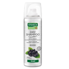 Rausch Dry Shampoo Fresh kuivashampoo 50 ml