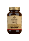 Solgar Foolihappo (Folic Acid) 400 µg, 100 tabl.
