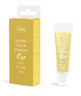 Ziaja Ananas huulikiilto 12ml