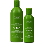 Ziaja Oliivi shampoo 400ml normaalit ja kuivat hiukset